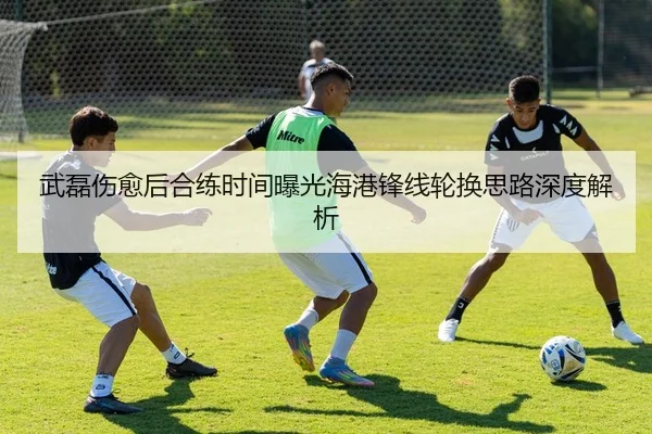 武磊伤愈后合练时间曝光海港锋线轮换思路深度解析