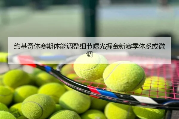 约基奇休赛期体能调整细节曝光掘金新赛季体系或微调
